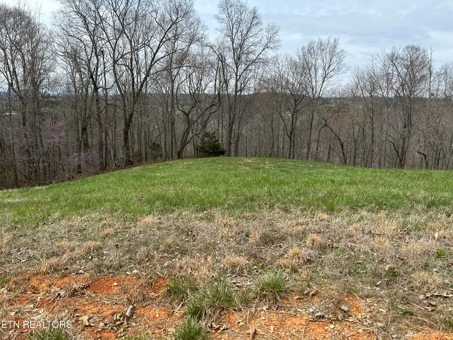 Lot 260-B Marble Point Way, New Tazewell, TN 37825 - #3