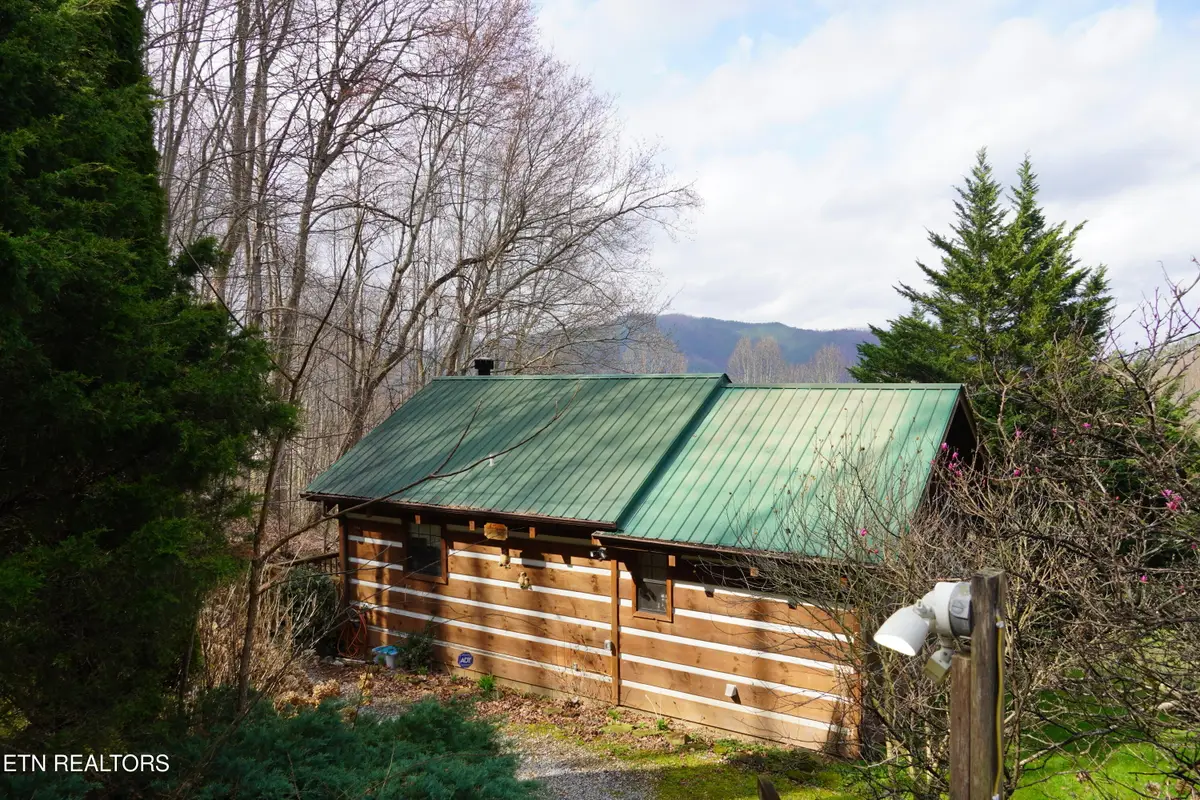 994 Emilyville Way, Cosby, TN 37722 - #1