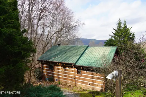 994 Emilyville Way, Cosby, TN 37722