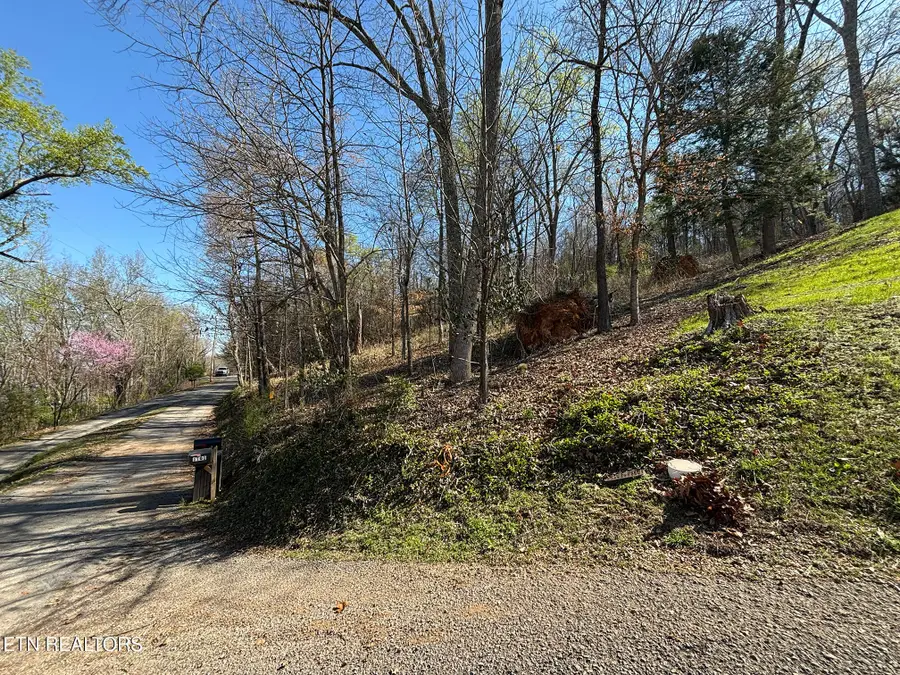 Lot 38 Johnson Lane Lane, Ten Mile, TN 37880 - #3