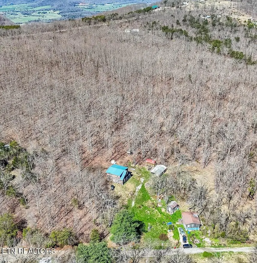 245 Raenne Drive, Spring City, TN 37381 - #2