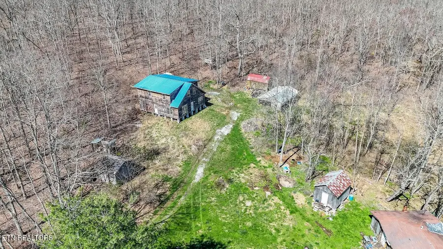 245 Raenne Drive, Spring City, TN 37381 - #3