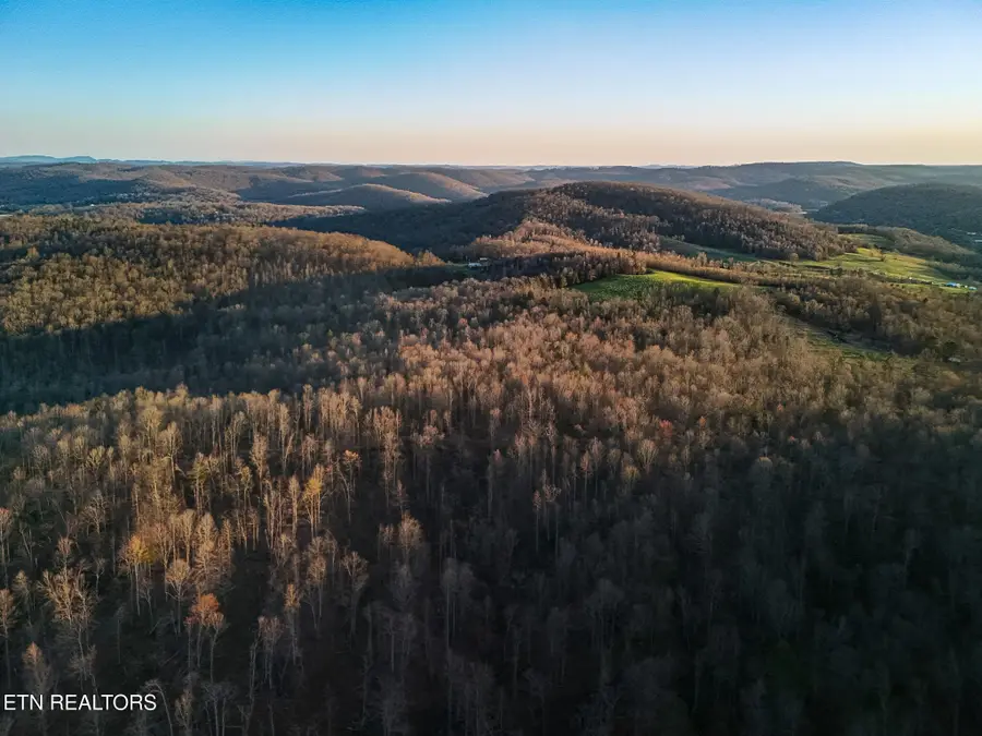 110 Braden Chapel Rd, Speedwell, TN 37870 - #2