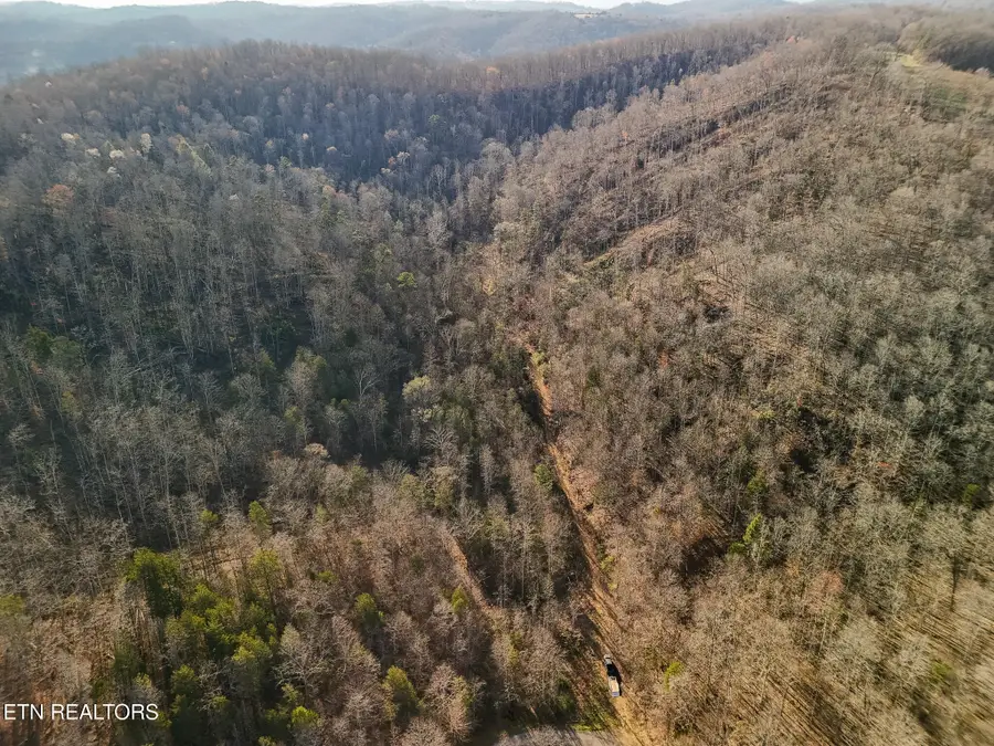 110 Braden Chapel Rd, Speedwell, TN 37870 - #3
