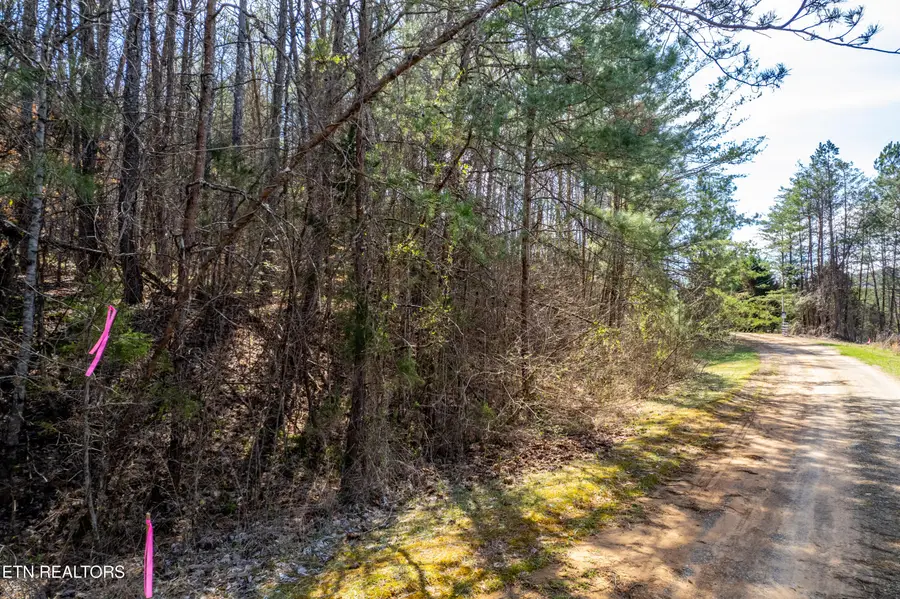 Welch Road Lot 4a, Tellico Plains, TN 37385 - #3