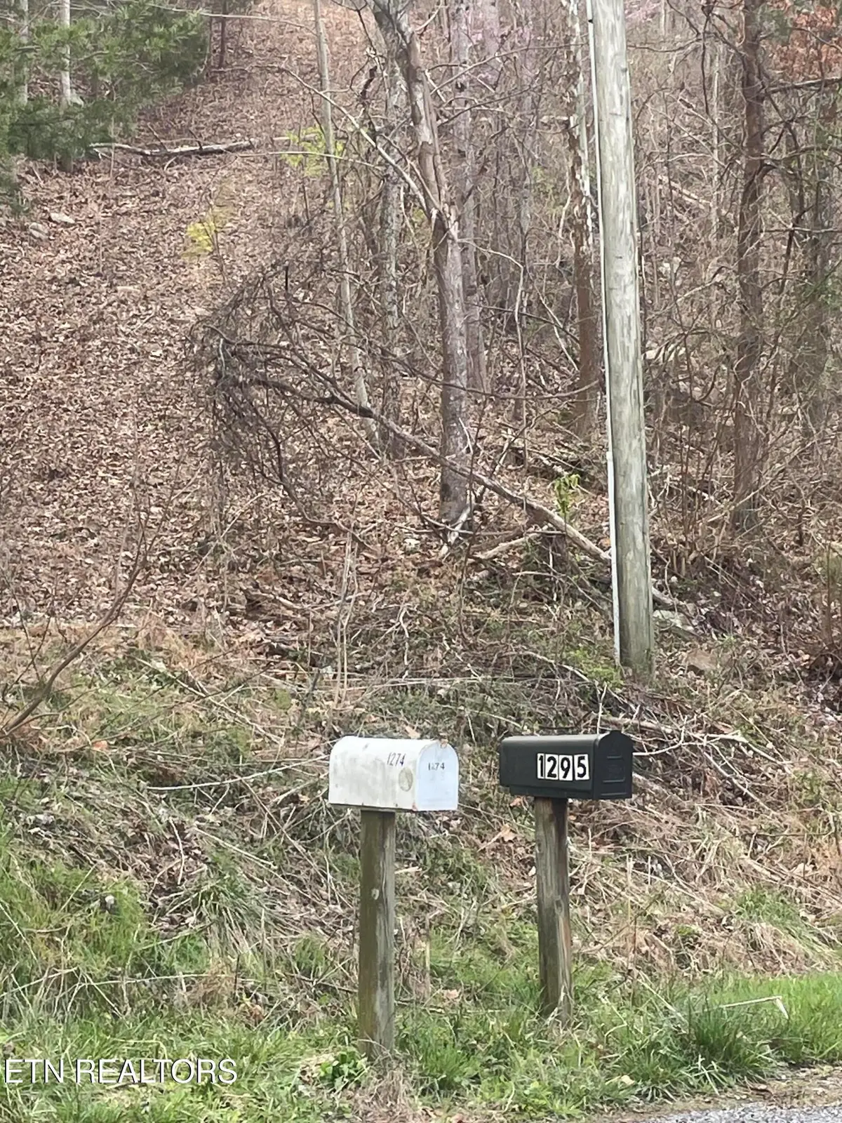 1295 Sussex Rd, Dayton, TN 37321 - #1