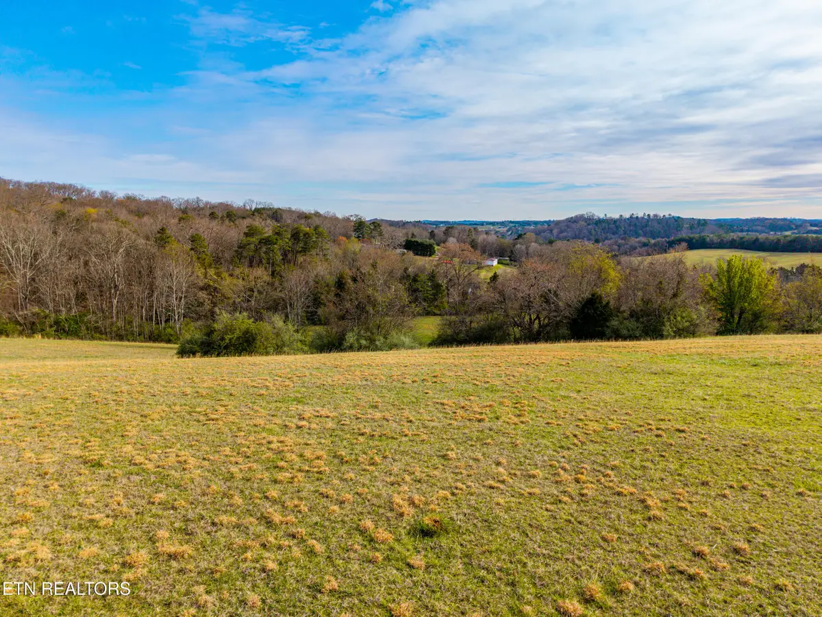 Unitia Rd, Friendsville, TN 37737 - #1
