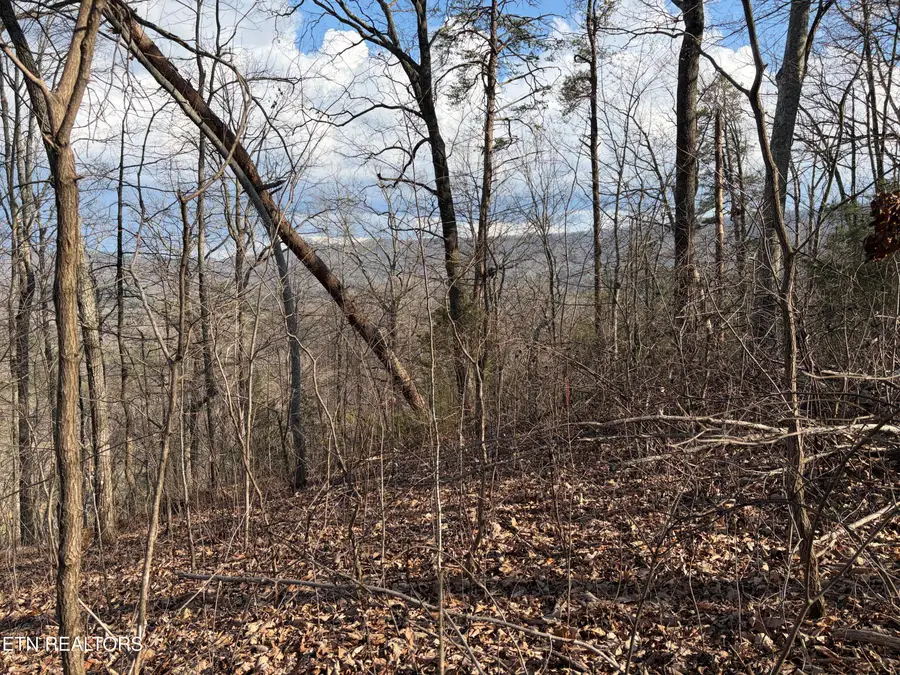 819 Jama Way, Maryville, TN 37803 - #2