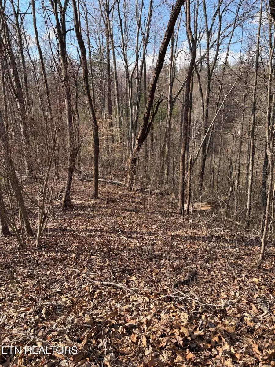 819 Jama Way, Maryville, TN 37803 - #3