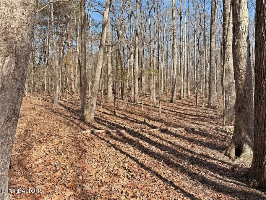 180 Hill Rd, Knoxville, TN 37938 - #3