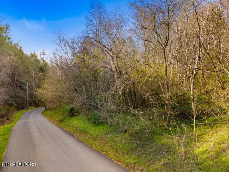 LOT 3R Obes Branch Rd, Sevierville, TN 37876 - #2