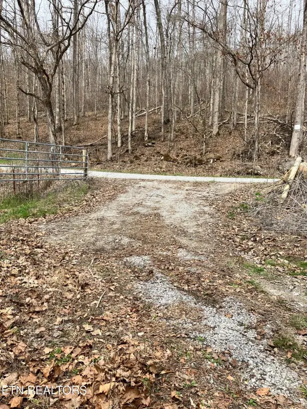 4913 Snake Hollow Rd, Sneedville, TN 37869