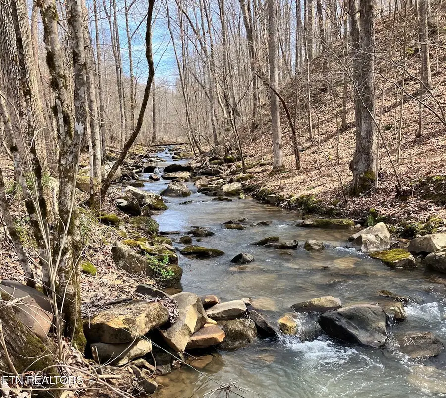 4913 Snake Hollow Rd, Sneedville, TN 37869 - #2