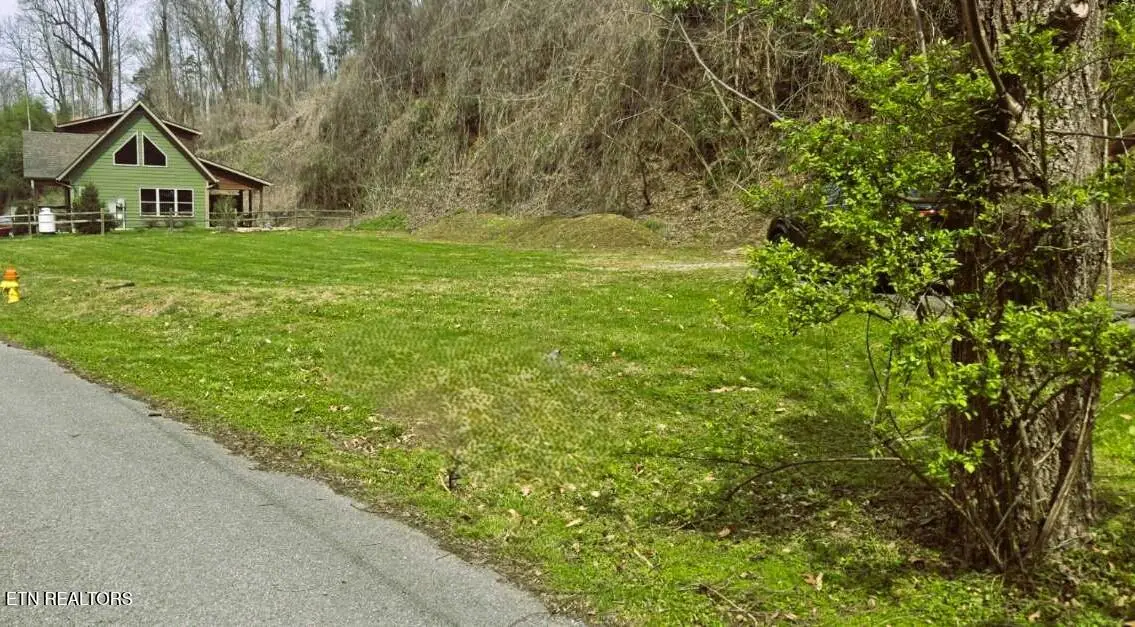 729 Turkey Nest Rd, Gatlinburg, TN 37738 - #1