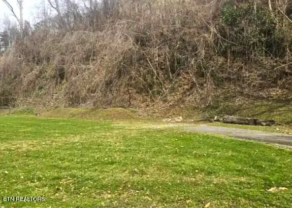 729 Turkey Nest Rd, Gatlinburg, TN 37738 - #2