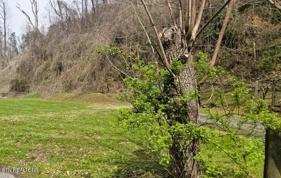 729 Turkey Nest Rd, Gatlinburg, TN 37738 - #3