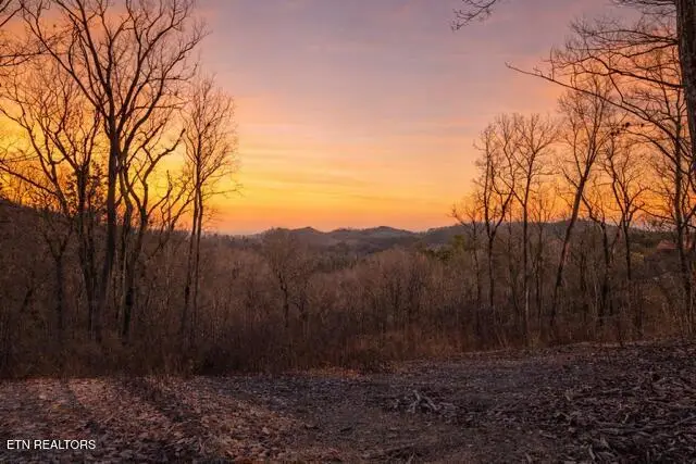 Cloud View Drive, Sevierville, TN 37862 - #1