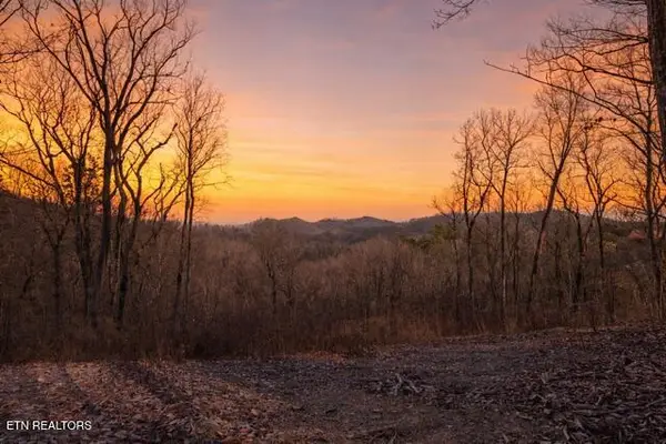 Cloud View Drive, Sevierville, TN 37862