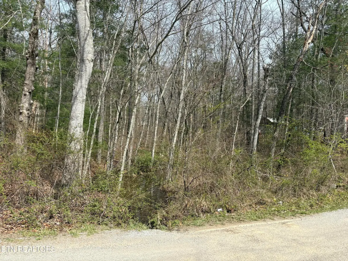 Brown Creek Drive, Crossville, TN 38571 - #1