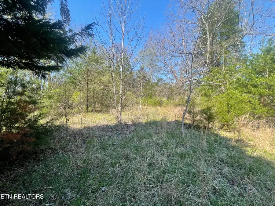 317 Mountain View Drive, Vonore, TN 37885 - #3