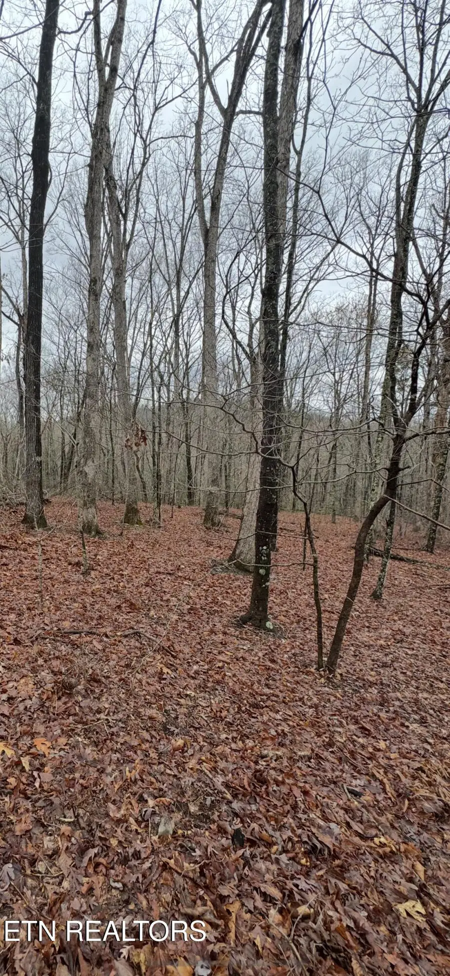 Prettiest Sunset Way #Lot 4, Seymour, TN 37865 - #2