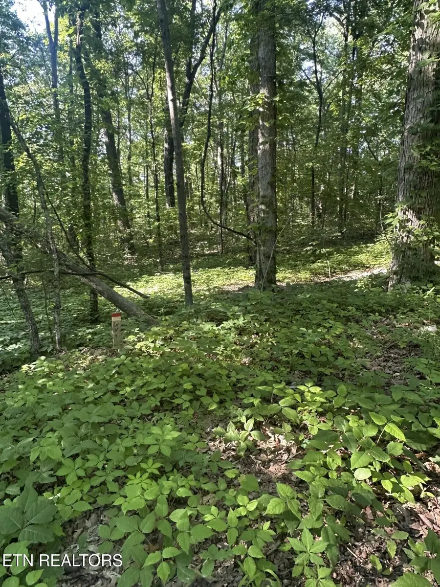 Prettiest Sunset Way #Lot 4, Seymour, TN 37865 - #3