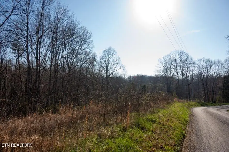 174 Turkeytown Rd, Hilham, TN 38568 - #2