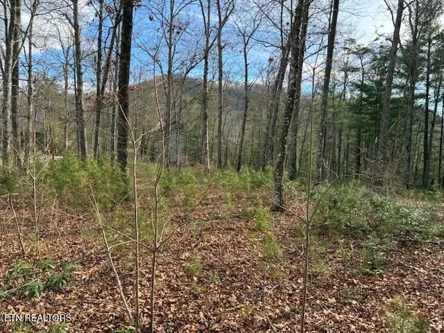 Mountain Ash Way, Sevierville, TN 37876 - #3