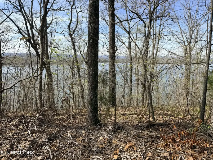 Lot 7 Johnson Lane, Ten Mile, TN 37880 - #2