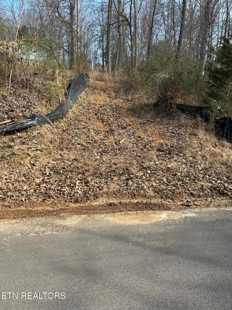 10513 Rather Rd, Knoxville, TN 37931 - #2