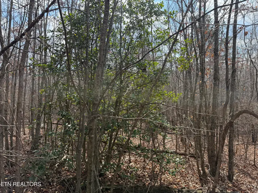 Cumberland Lakes Drive #201, Monterey, TN 38574 - #3