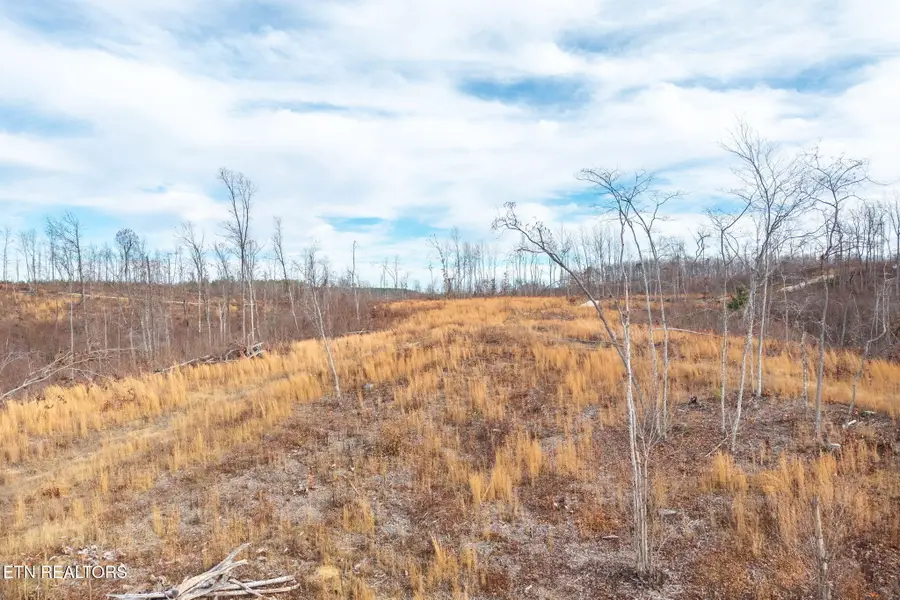 Flat Rock Road Rd #Lot 6, Jamestown, TN 38556 - #2