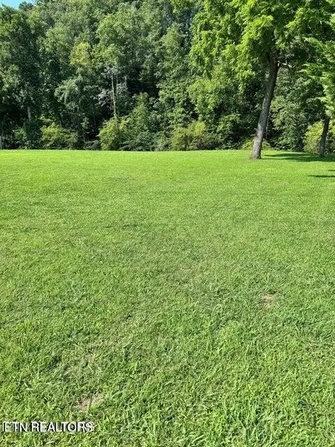 River Bank Rd #34, Pigeon Forge, TN 37863 - #2