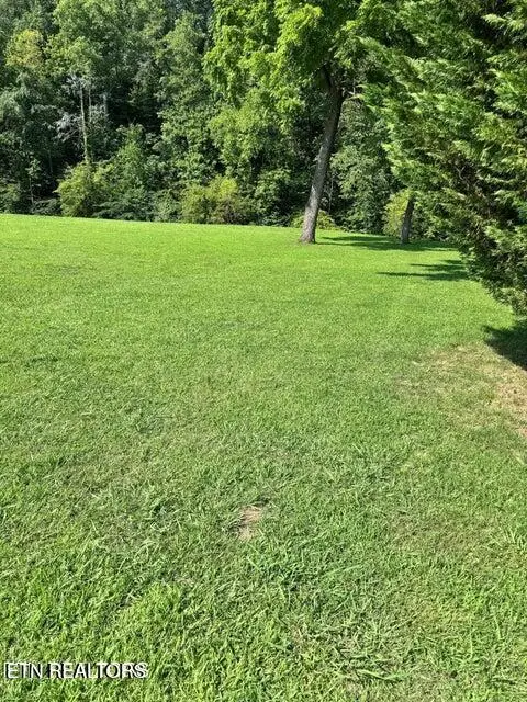 River Bank Rd #34, Pigeon Forge, TN 37863 - #3