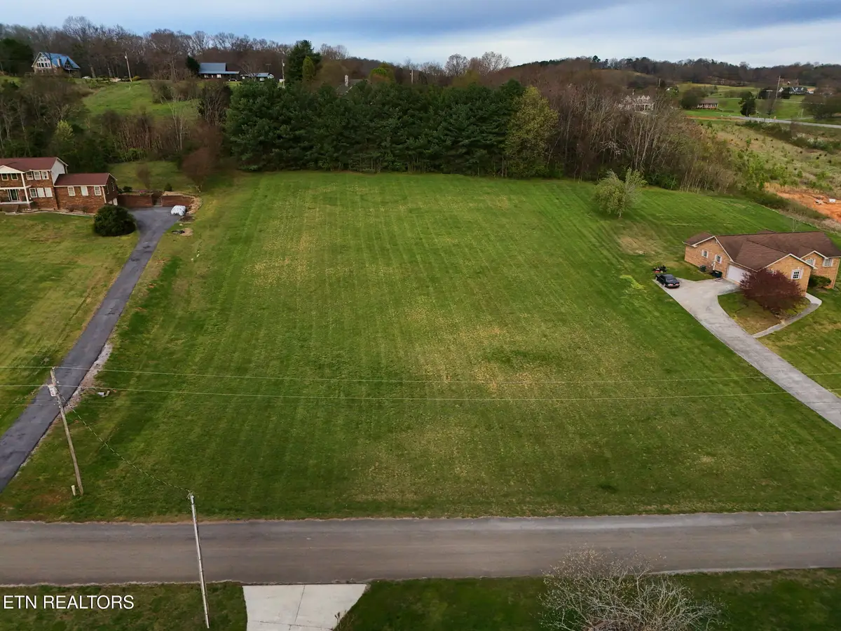 608 Cornfield Lane, White Pine, TN 37890 - #1