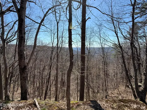 Cumberland Cove Rd, Monterey, TN 38574