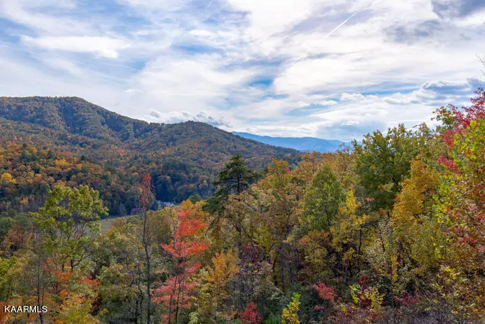 4228 Wears Valley Rd #UNIT 171, Sevierville, TN 37862 - #3