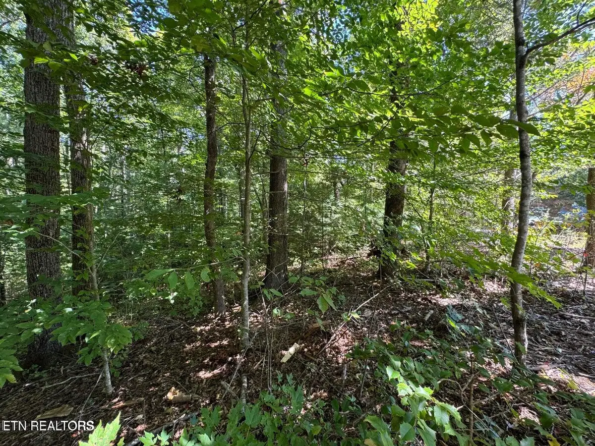 Lot 6 Saddle Brook Way, Sevierville, TN 37862 - #1
