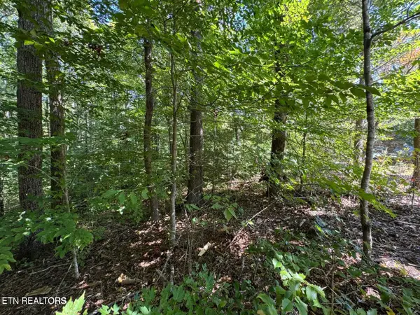 Lot 6 Saddle Brook Way, Sevierville, TN 37862