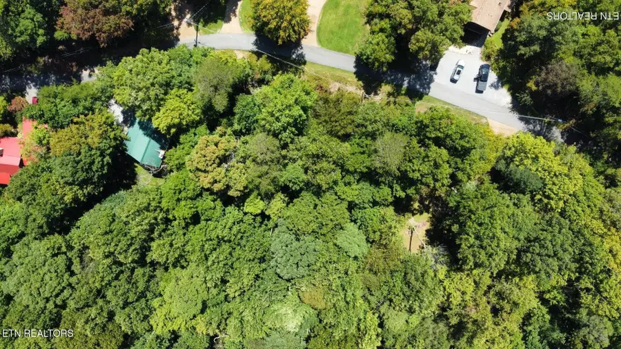 Lot 6 Saddle Brook Way, Sevierville, TN 37862 - #3