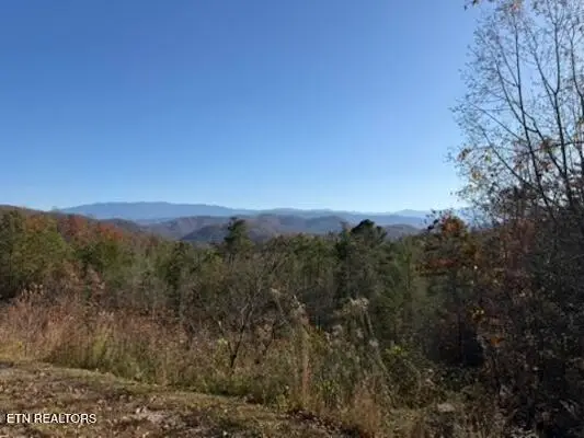 Parcel 053 050.00 Obes Branch Rd, Sevierville, TN 37876 - #1