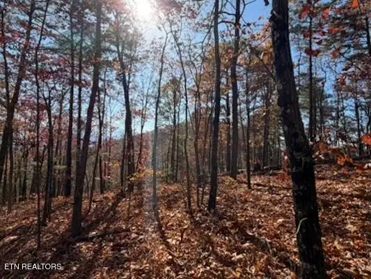 Parcel 053 050.00 Obes Branch Rd, Sevierville, TN 37876 - #3