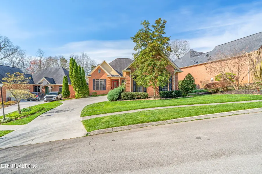 220 Skyview Drive, Lenoir City, TN 37772 - #3