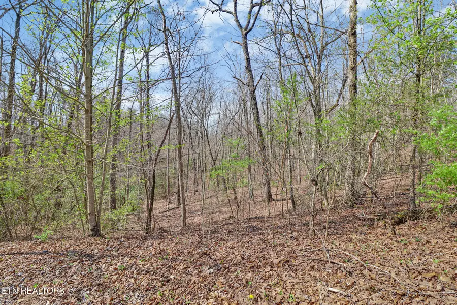 Thompson Rd, Crossville, TN 38571 - #3