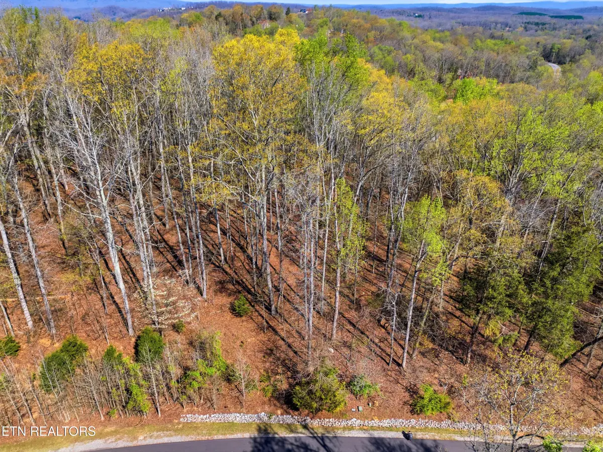 Lot 141 E Shore Drive, Rockwood, TN 37854 - #1