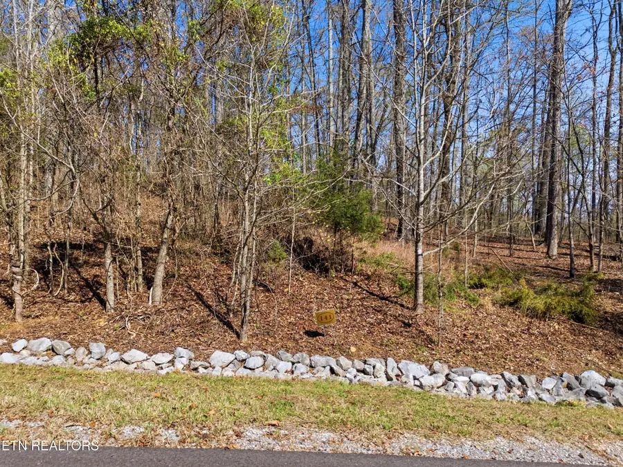 Lot 141 E Shore Drive, Rockwood, TN 37854 - #3