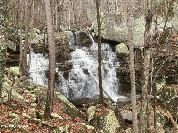 Old Spencer Road - 100 Acres, Pikeville, TN 37367