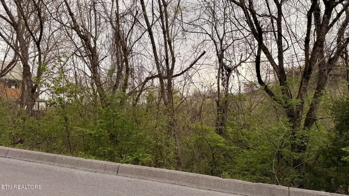 Lot 4 Hideaway Ridge Circle, Sevierville, TN 37862 - #1