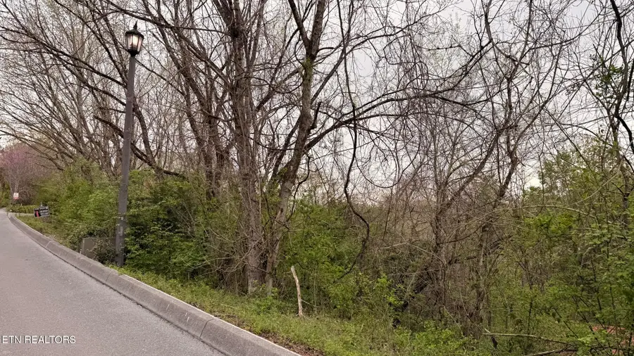 Lot 4 Hideaway Ridge Circle, Sevierville, TN 37862 - #2