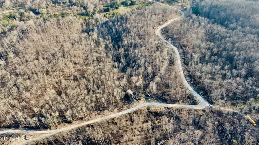 Lot#13 Mill Creek Rd, Sunbright, TN 37872 - #3